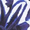 BLAU/ WEISS