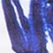 NAVY/ WEISS
