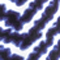 NAVY/ WEISS