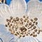 BLAU/ CREME/ GOLD METALLIC