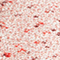 ROT/ CREME