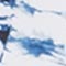 BLAU/ WEISS