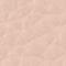 BLUSH NUDE