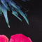 SCHWARZ/ PINK