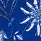 ROYAL/ HELLBLAU
