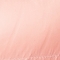 ROSÉ