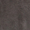 BRAUN