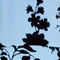 HELLBLAU/ SCHWARZ
