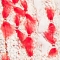 WEISS/ ROT/ ROSA