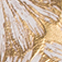 WEISS/ GOLD