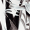 SCHWARZ/ WEISS