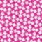 PINK/ WEISS