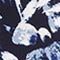 NAVY/ WEISS