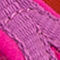 PINK/ ORANGE/ LILA