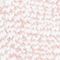 IVORY/ ROSA