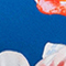 BLAU/ ROT/ WEISS