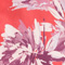 ROT/ ROSE