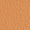 VANILLA/ ACORN