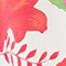 ECRU/ ROT/ BLAU