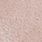 PUDER
