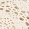 CREME