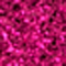 FUCHSIA METALLIC