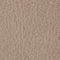 MOTTY GREY