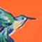 ORANGE/ BLAU