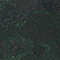 GRÜN