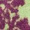 MINT/ ALTROSA
