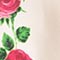 ECRU/ GRÜN/ FUCHSIA