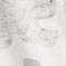 GRAU/ WEISS/ OLIV
