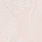 ROSÉ/ WEISS
