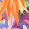 WEISS/ PINK/ ORANGE