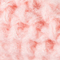 216 ROSE