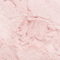 204 ROSE