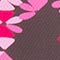 BRAUN/ PINK