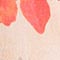 BEIGE/ ROT/ HELLROT