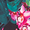 SCHWARZ/ GRÜN/ FUCHSIA
