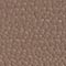 MOTTY GREY