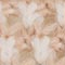 BEIGE/ CREME