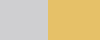 SILVER/GOLD