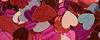 PINK HEARTS