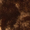 BRAUN