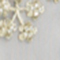 BLAUGRAU/ GOLD