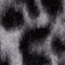 GRAU/ SCHWARZ