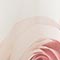 ROSÉ/ CREME/ GRÜN