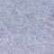 HELLBLAU