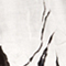 CREME/ GRAU