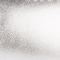 SILBER/ SCHWARZ